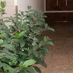 La Terrazza Hébergement de vacances