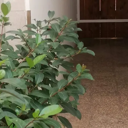 La Terrazza بيت للعطل