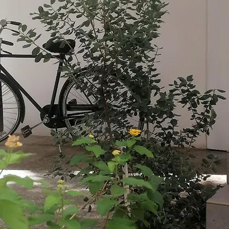 La Terrazza גאליפולי