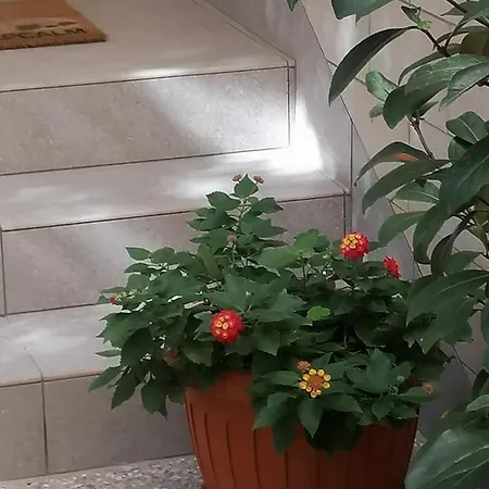 بيت للعطل La Terrazza غالّيبولي