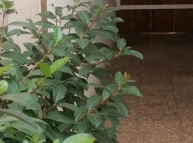 La Terrazza Holiday home