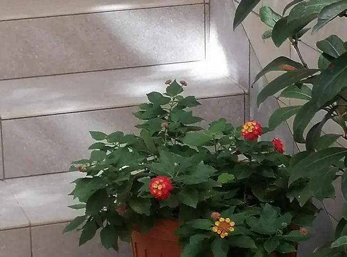 Holiday home La Terrazza Gallipoli