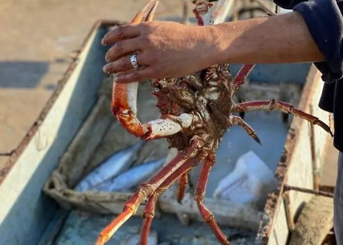 La Terrazza Holiday home Gallipoli